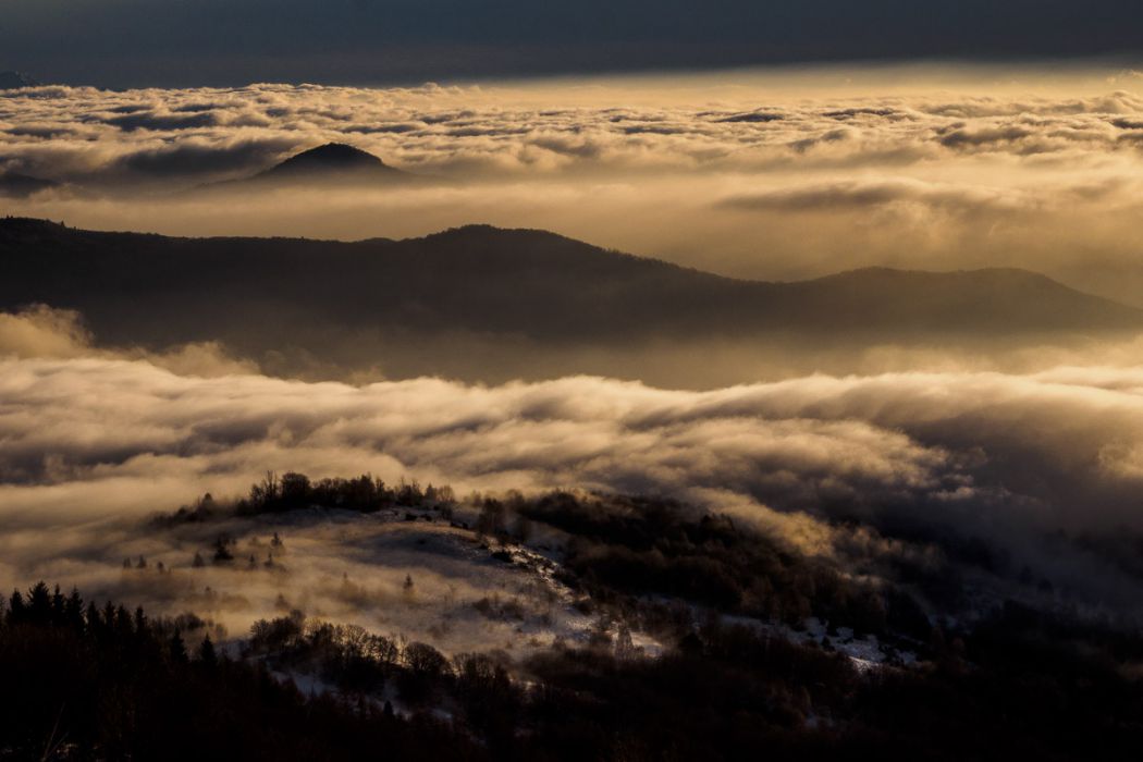 01142017  1140511 rid