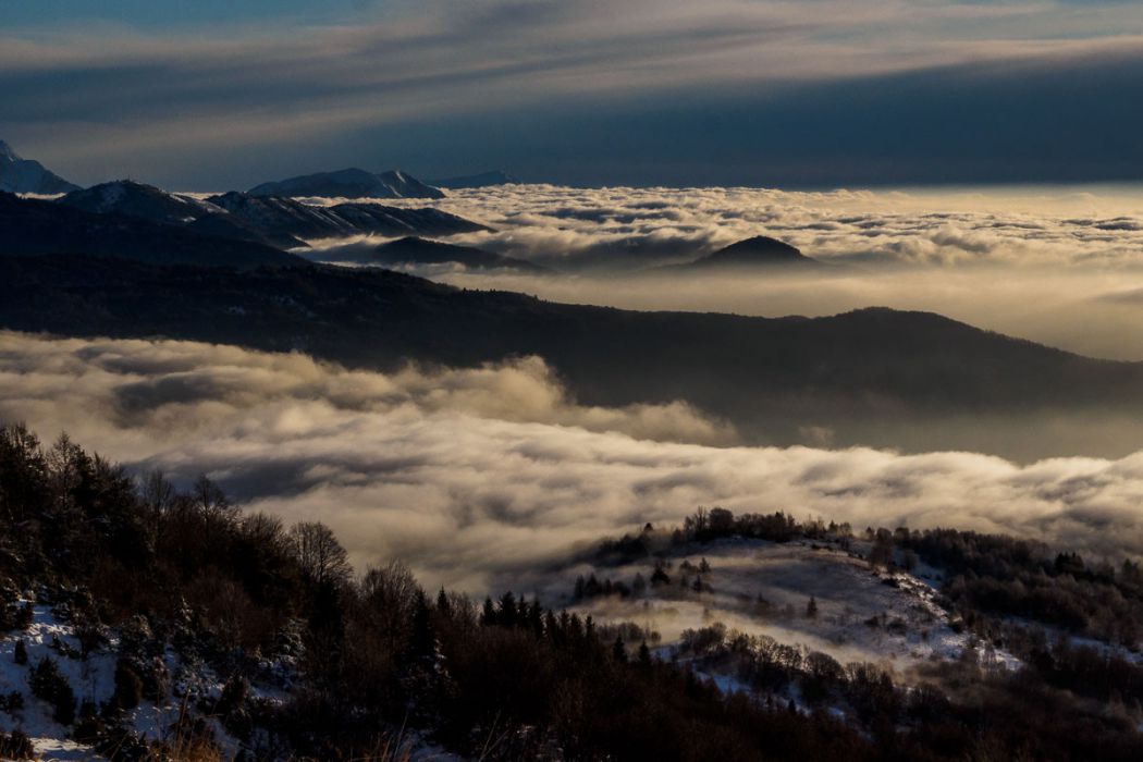 01142017  1140515 rid