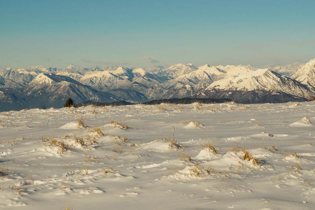 01142017  1140577 rid