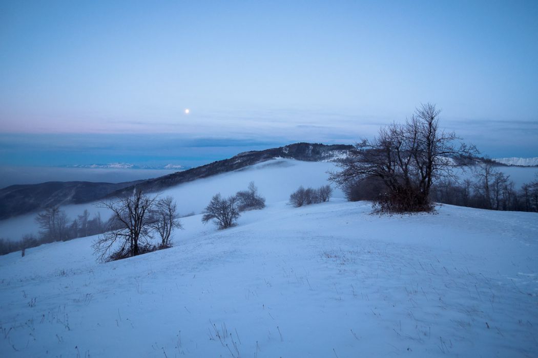 01142017  1140624 rid