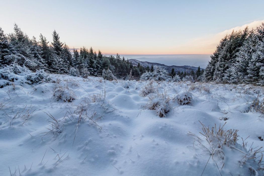 01142017  1140635 rid