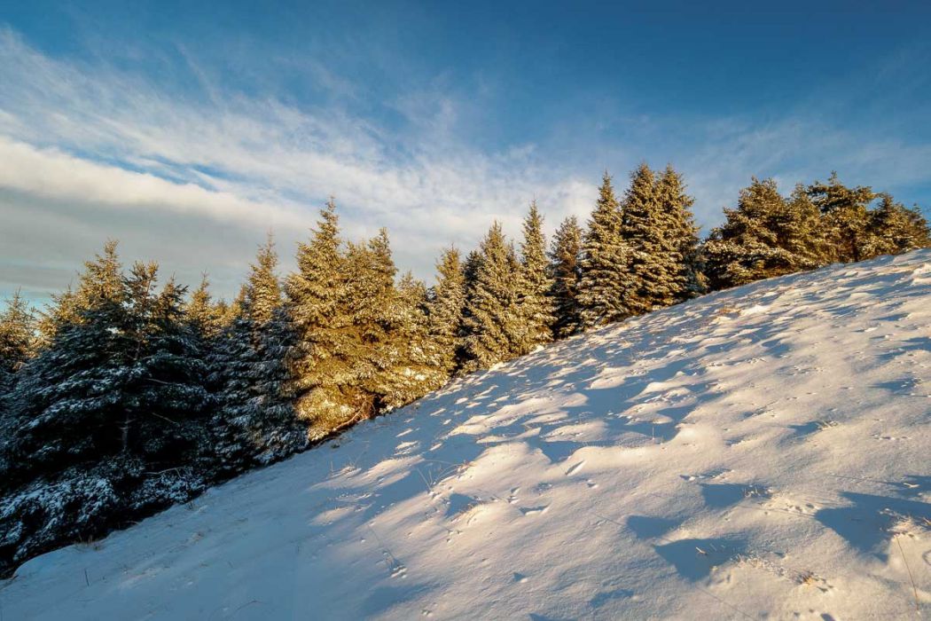 01142017  1140637 rid