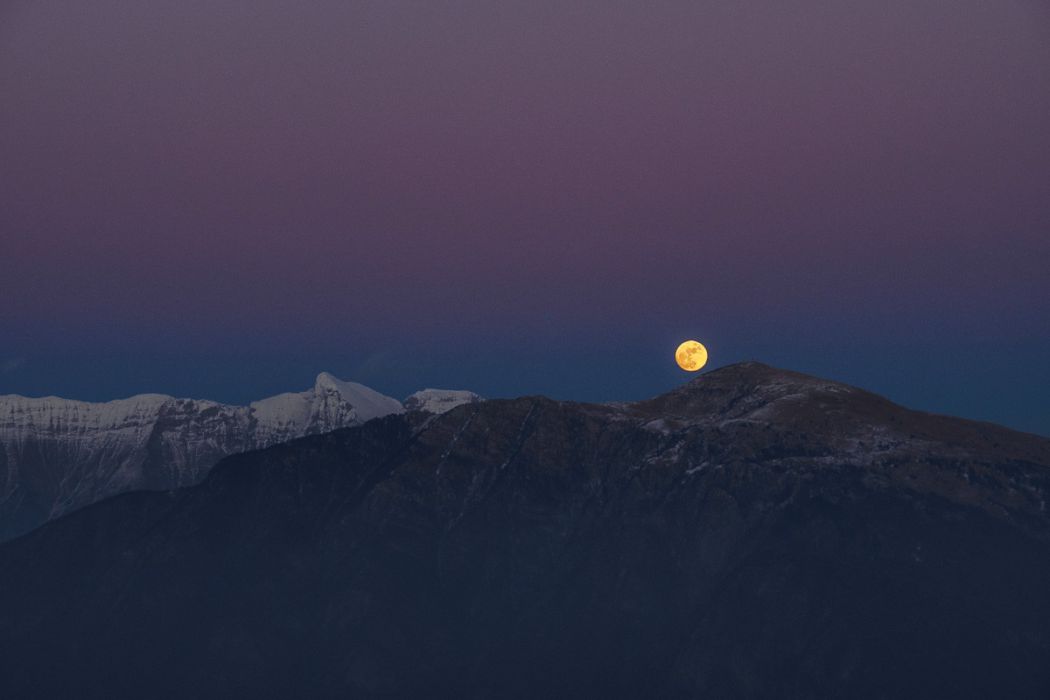 01232016  1230050 rid