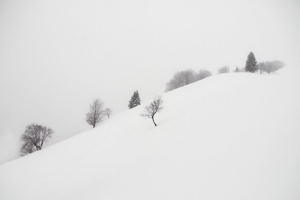 02092014 P2098898 rid  3 2 