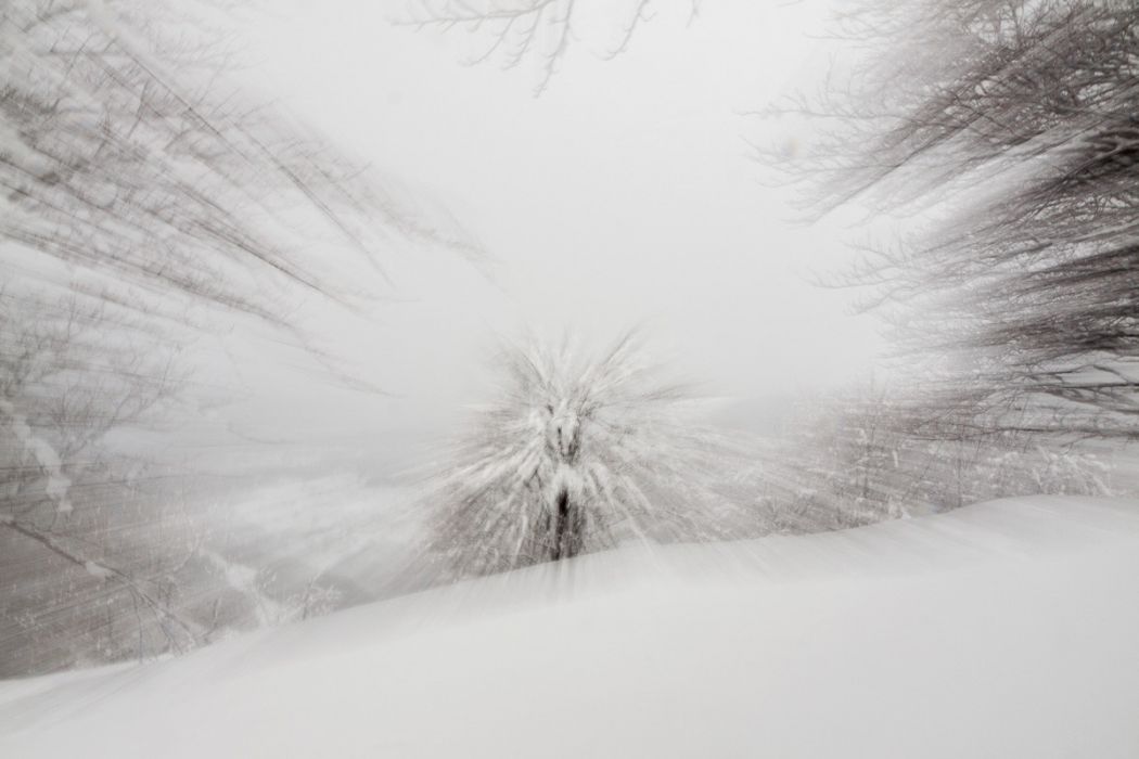 02092014 P2098912 rid  3 2 