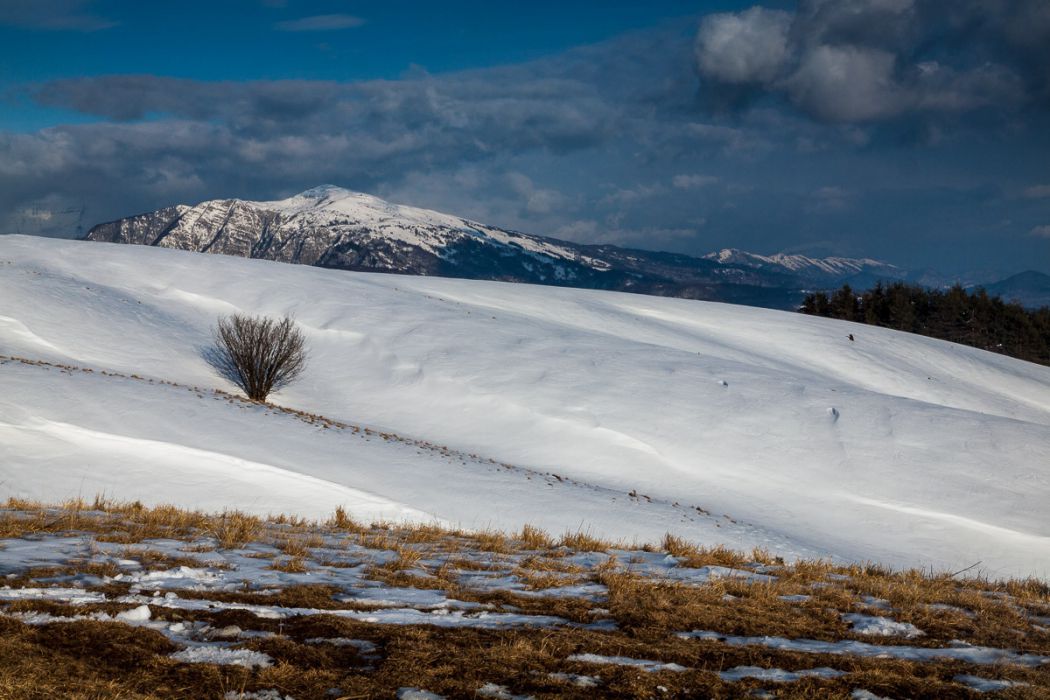 02172013 P2178637 rid  3 2 