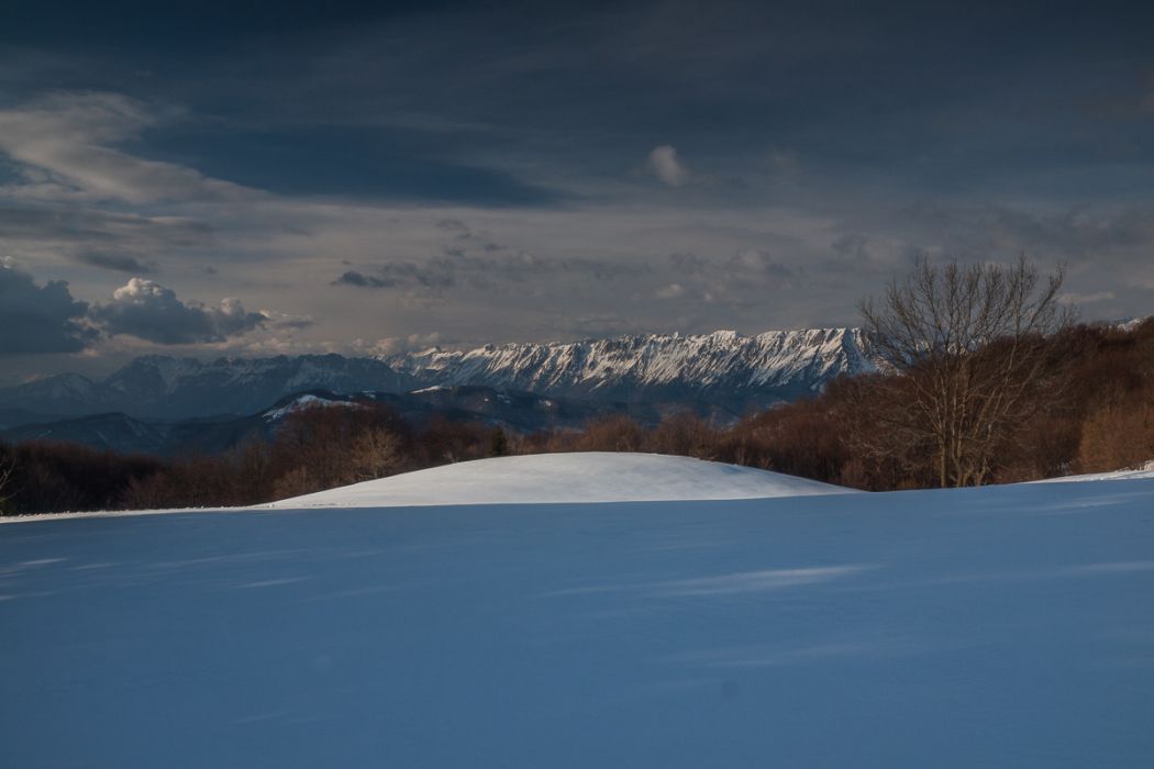 02172013 P2178651 rid  3 2 