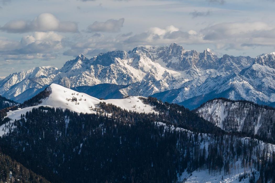 02212009 P2216981 rid