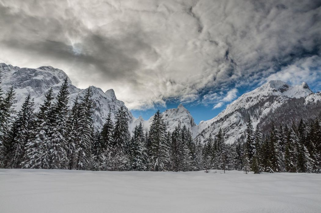 02232014 P2239223 rid