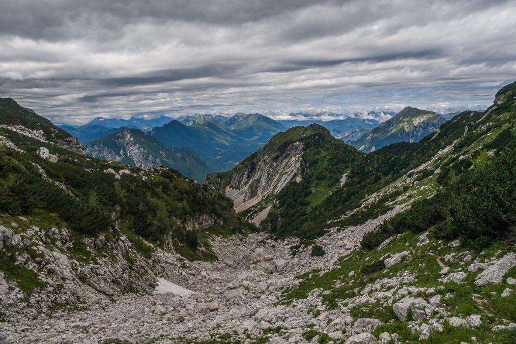 06192011 P6193809 rid  3 2 