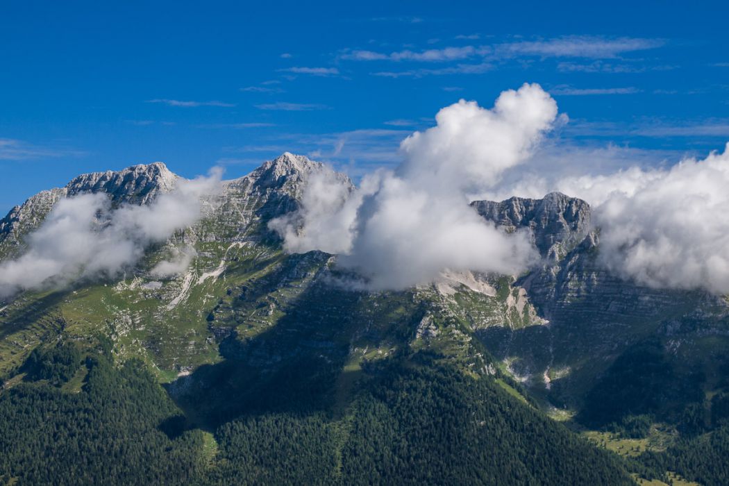 08082010 P8087702 rid  3 2 