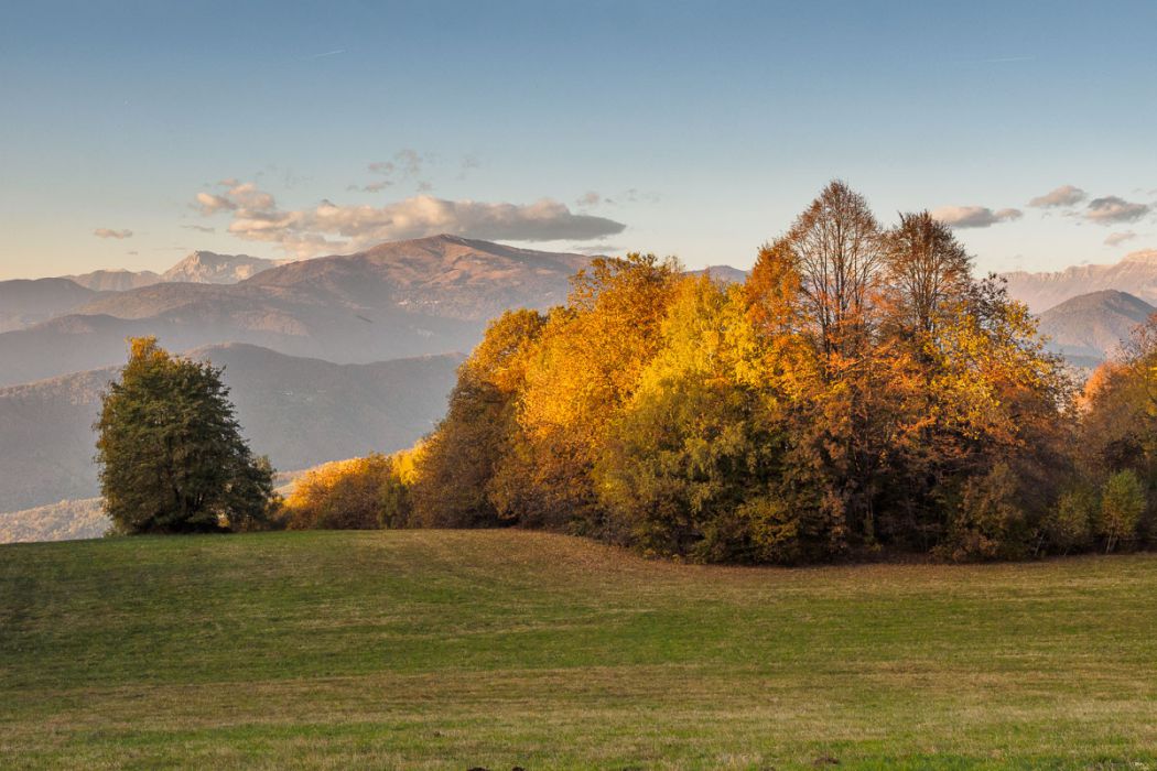 10302016  A300019 rid  3 2 