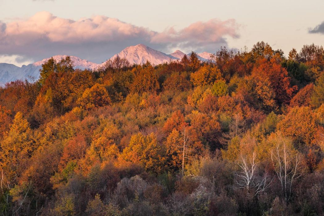 10302016  A300048 rid  3 2 