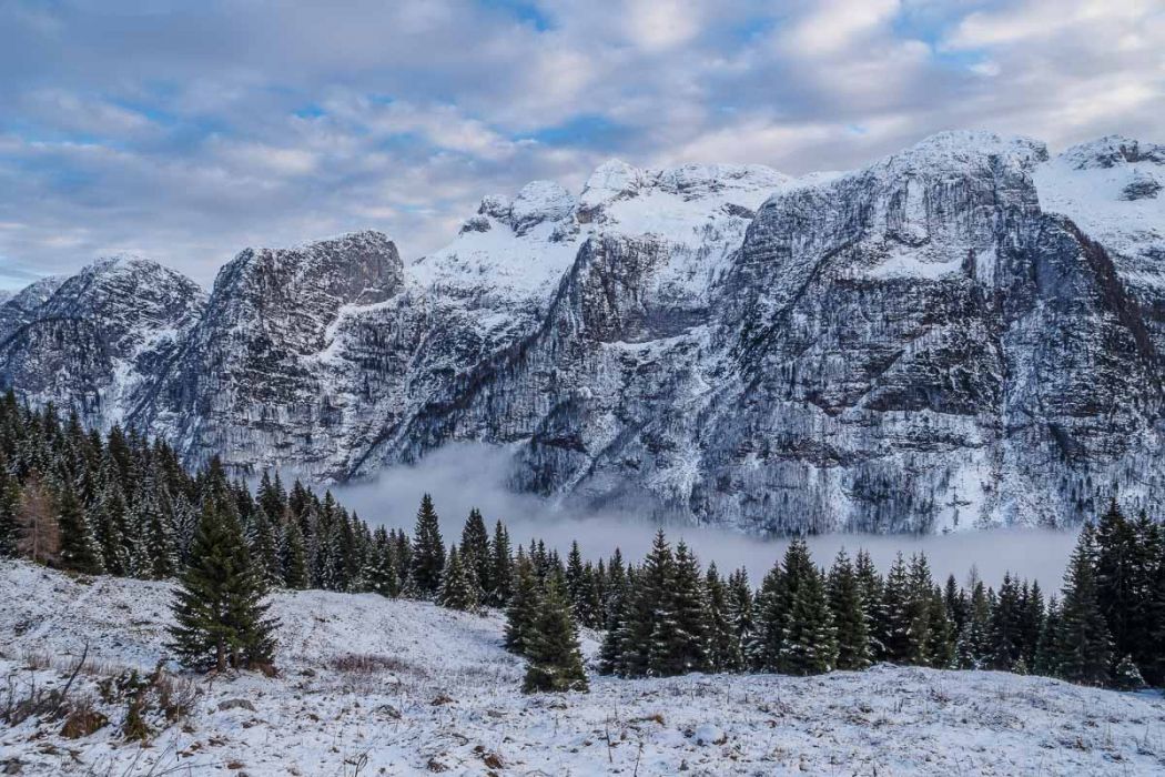 12082014  C081286 rid