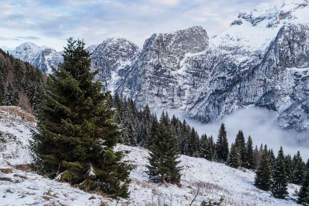 12082014  C081287 rid