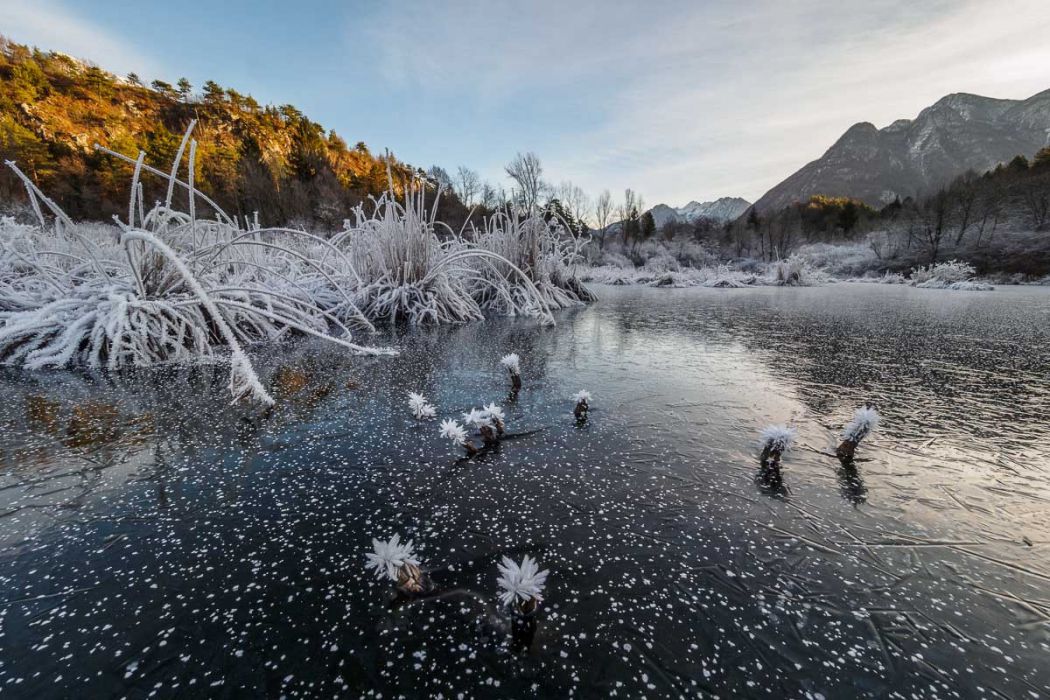 12232017  C230462 rid