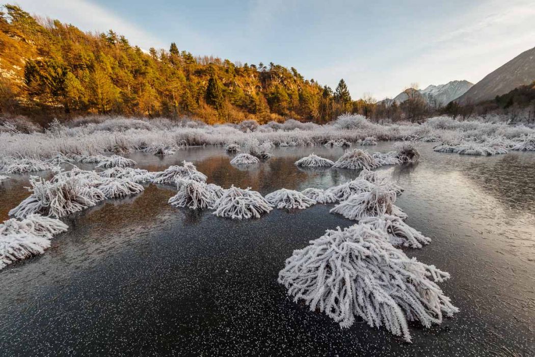 12232017  C230475 rid