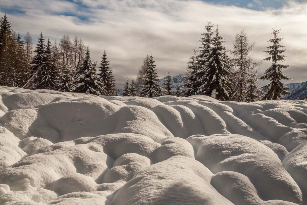 12272013 PC277507 rid