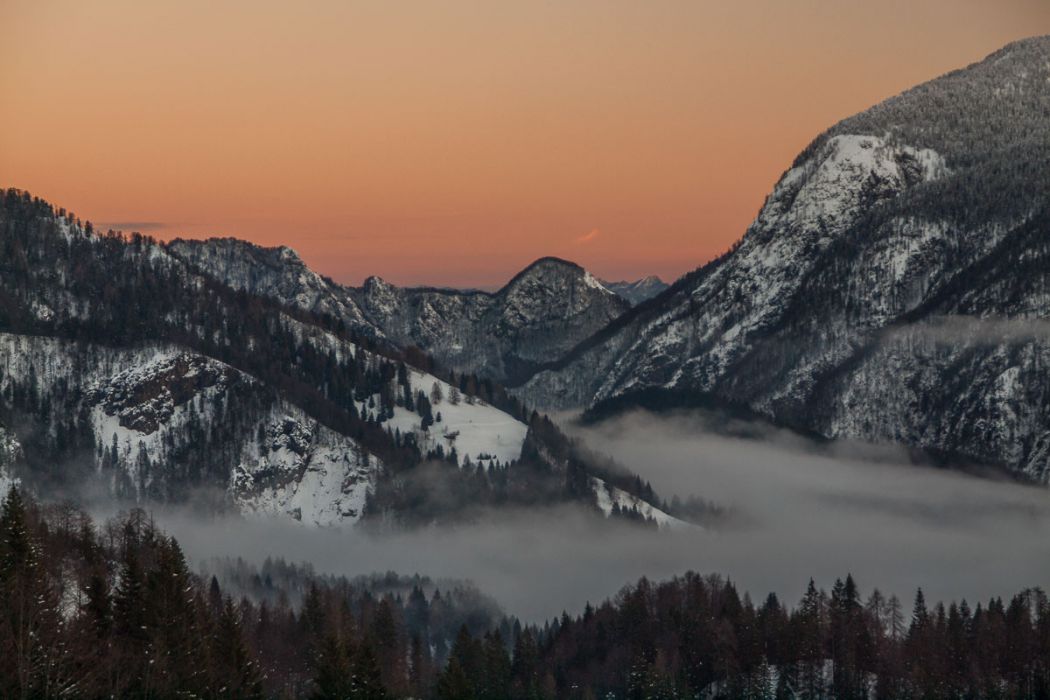 12272013 PC277685 rid