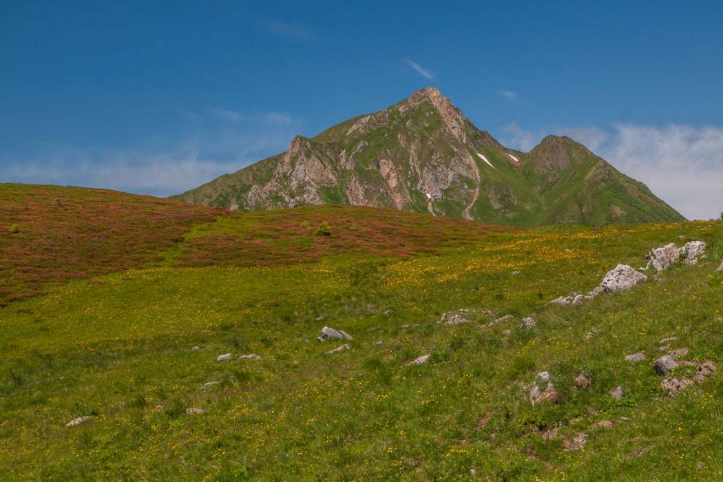 30062013 P6301089 rid