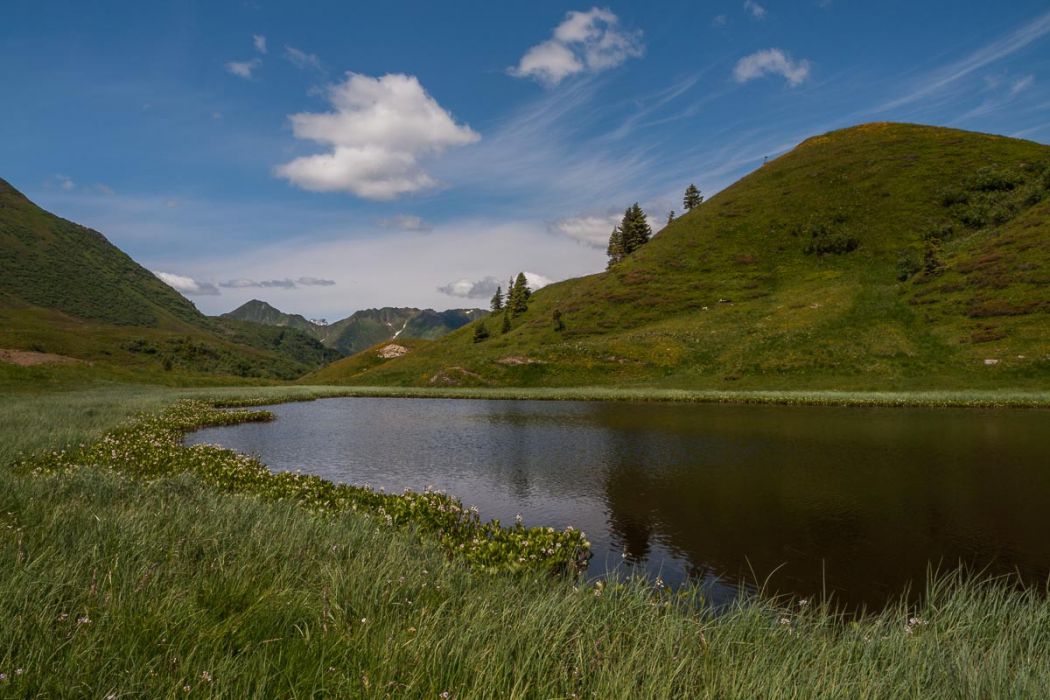 30062013 P6301136 rid