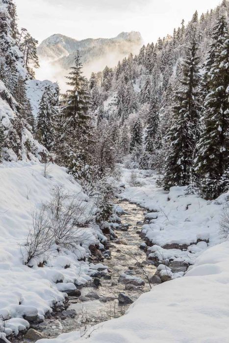 01022018  1020071 rid