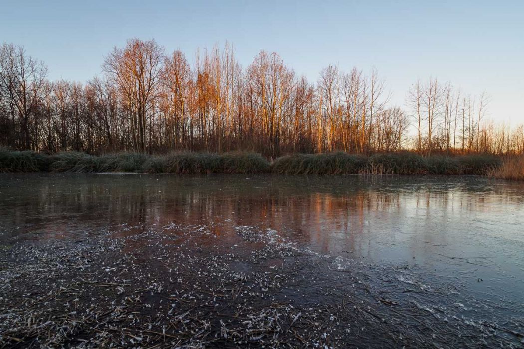 01042019  1040916 rid