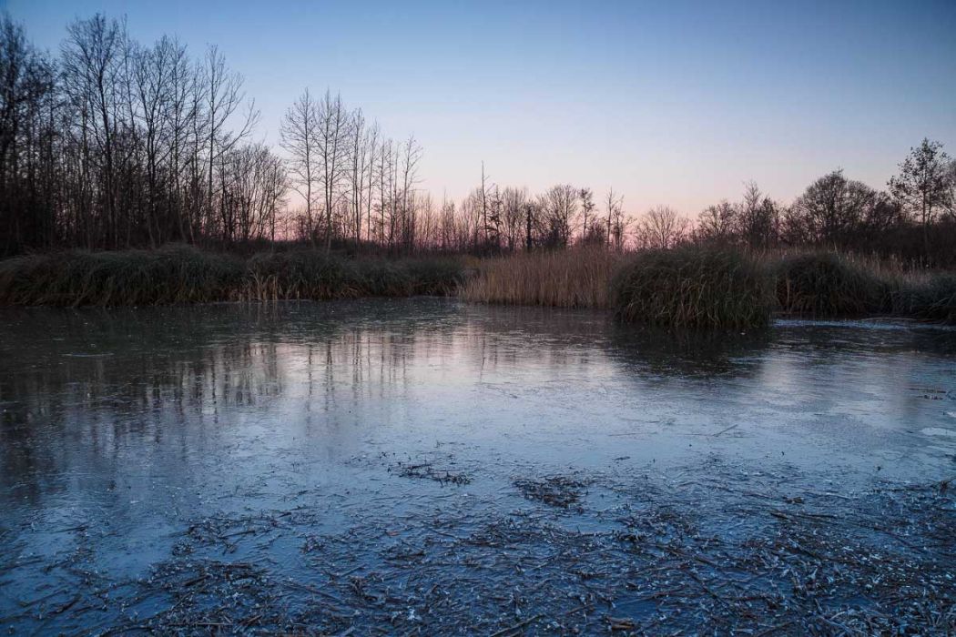 01042019  1041727 rid