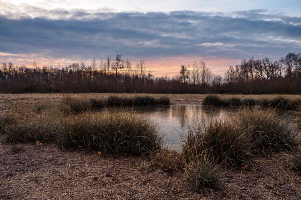 01052019  1051779 rid