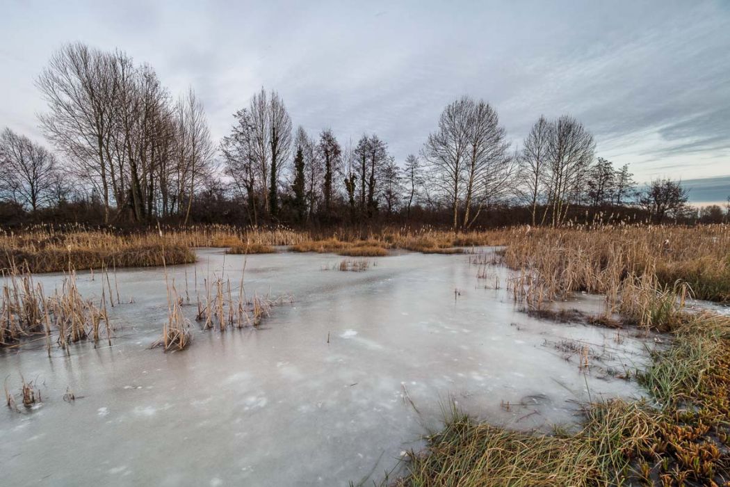 01152017  1150604 rid