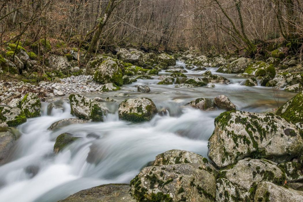 01242009 P1246785 rid 2