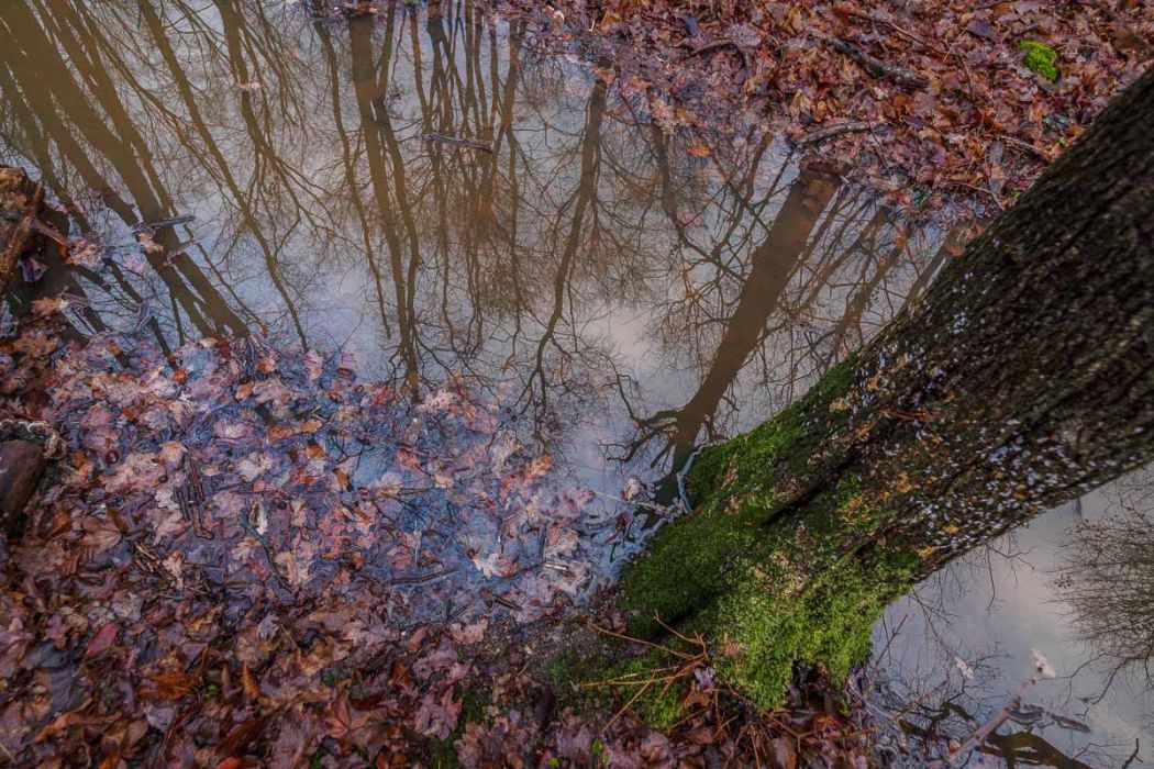 02052017  2050809 rid