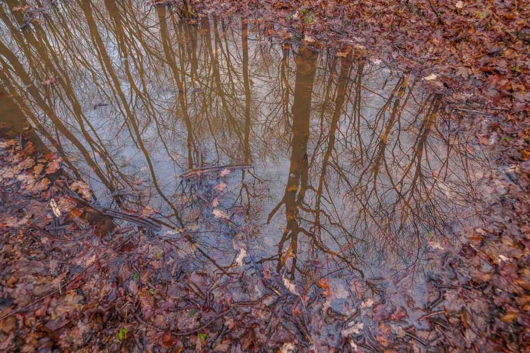 02052017  2050813 rid