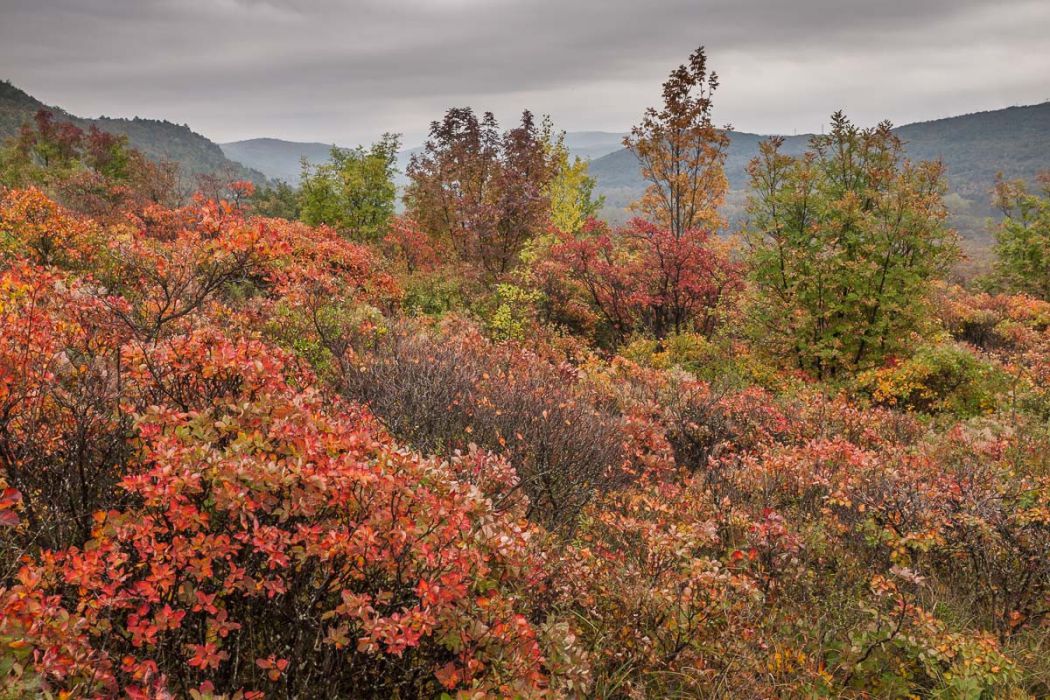 02112013 PB027061 Edit 2 rid 2