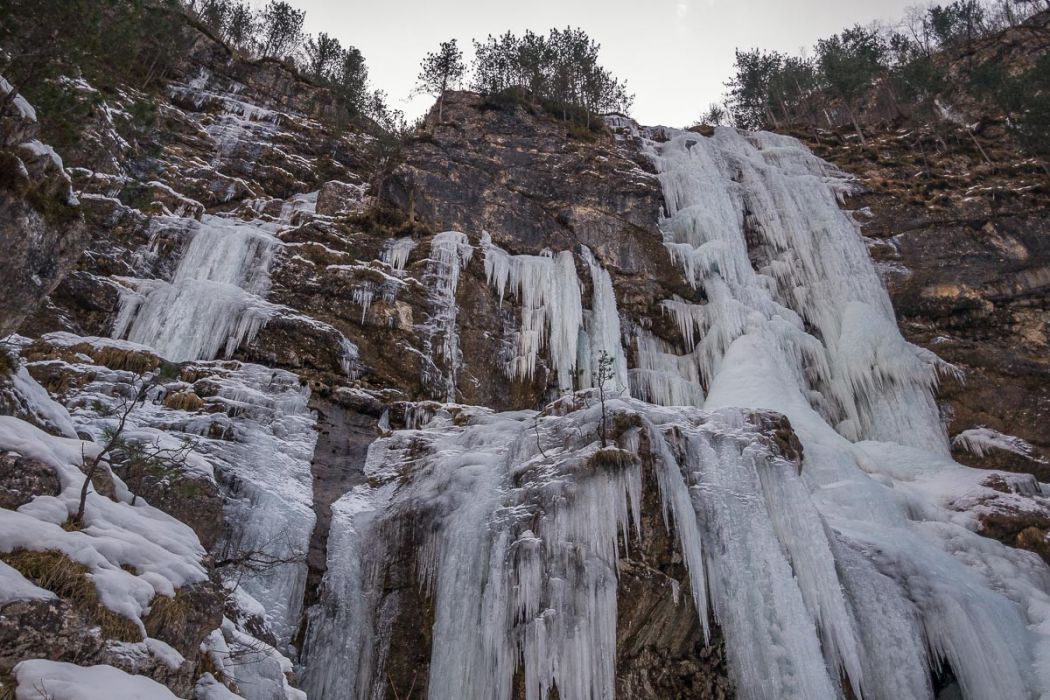 02132010 P2135510 rid  3 2 