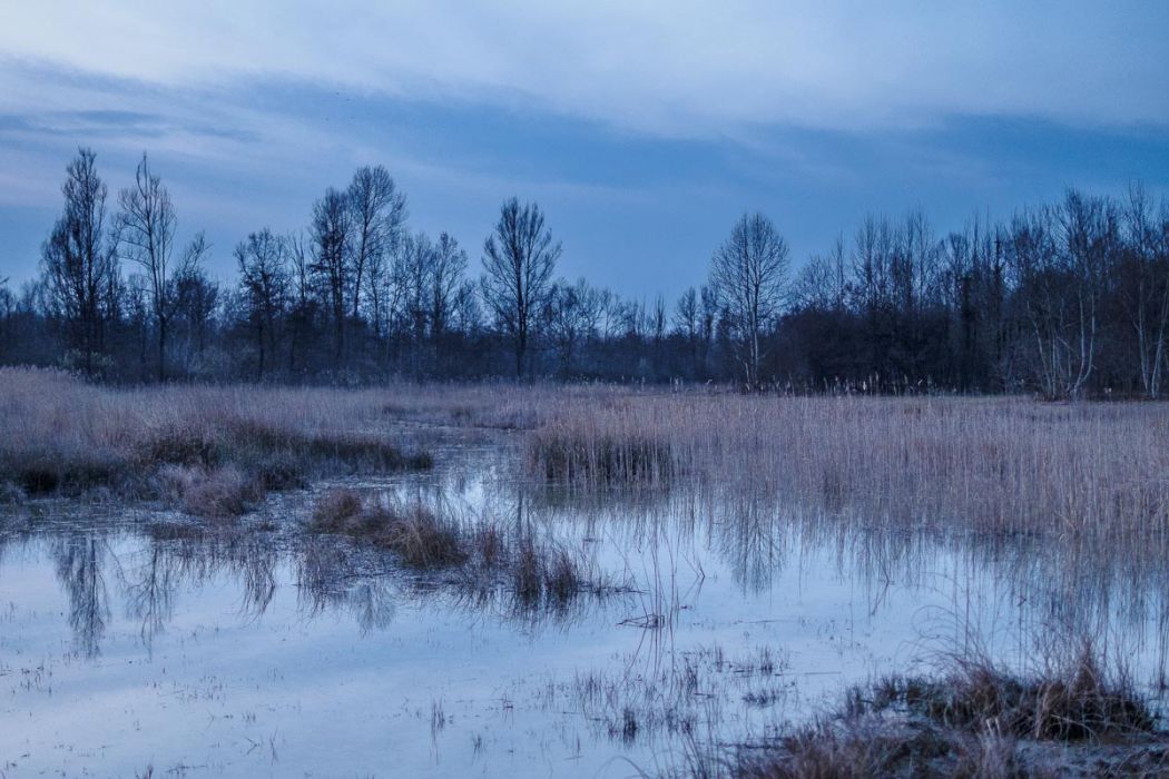 03092015  3090808 rid