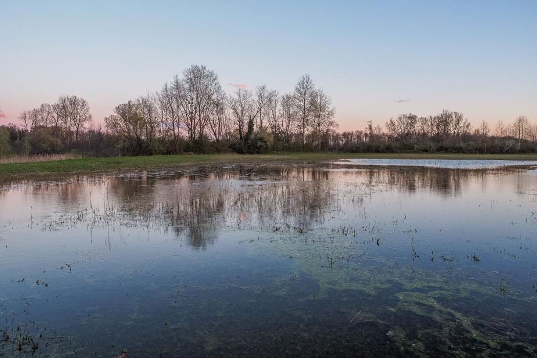 04012015  4010938 rid