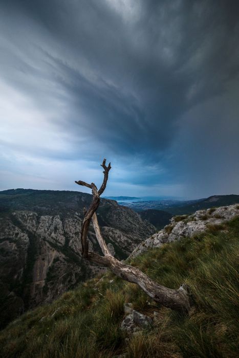 04152017  4150168 rid