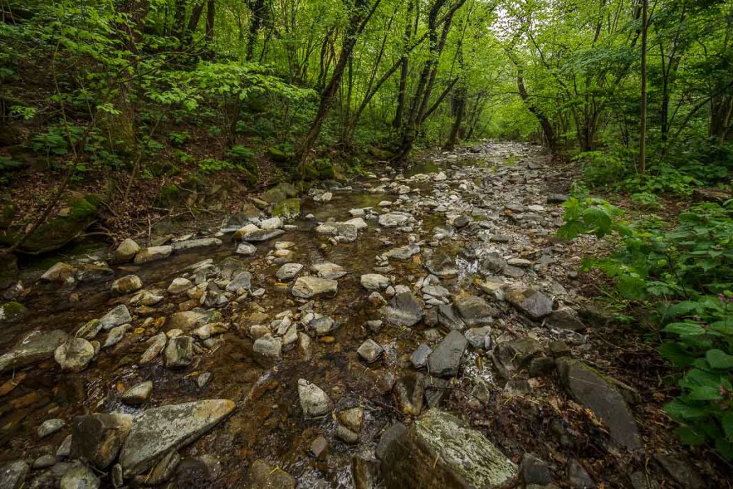 04152017  4150178 rid