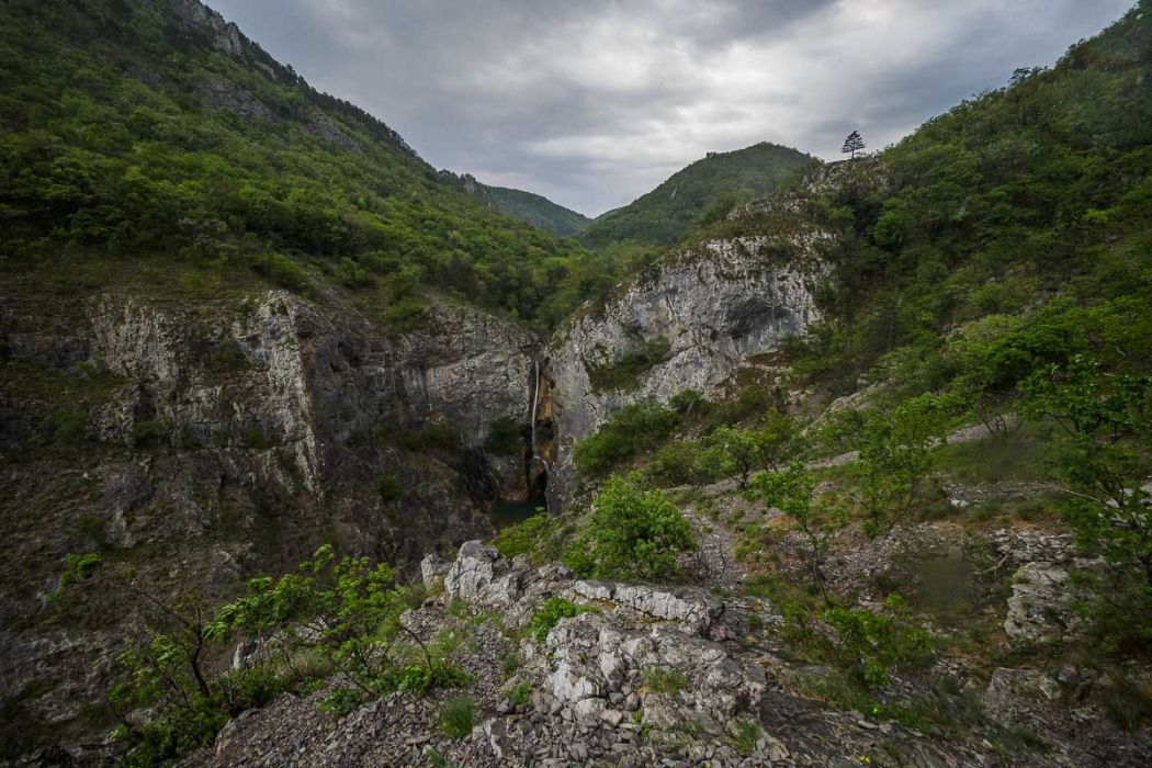 04152017  4150192 rid