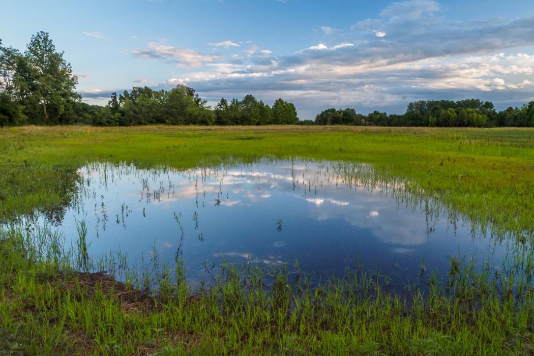 06302014  6301230 rid