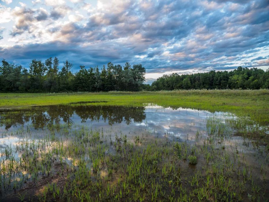 06302014  6301258 rid