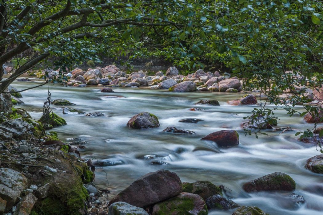 08252012 173916 016 rid