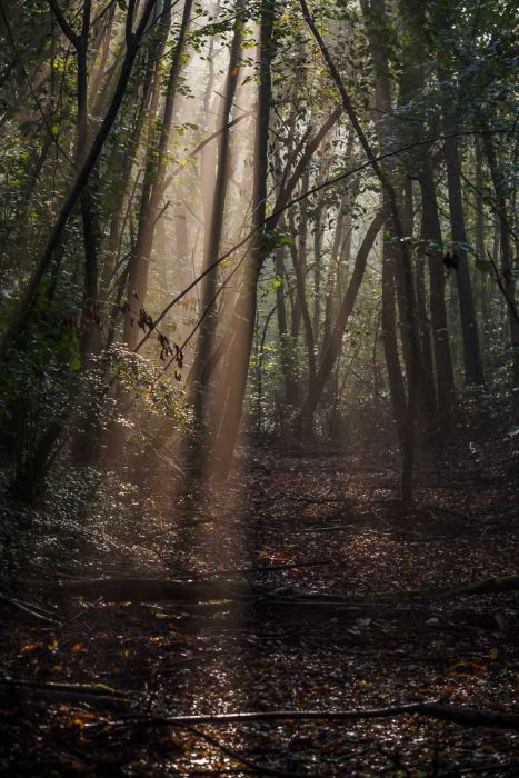 10142017  A140702 rid