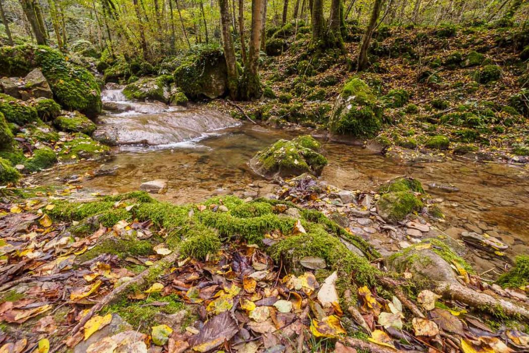 10232016  A230657 rid