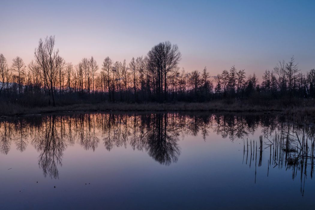 11032015  3110876 rid