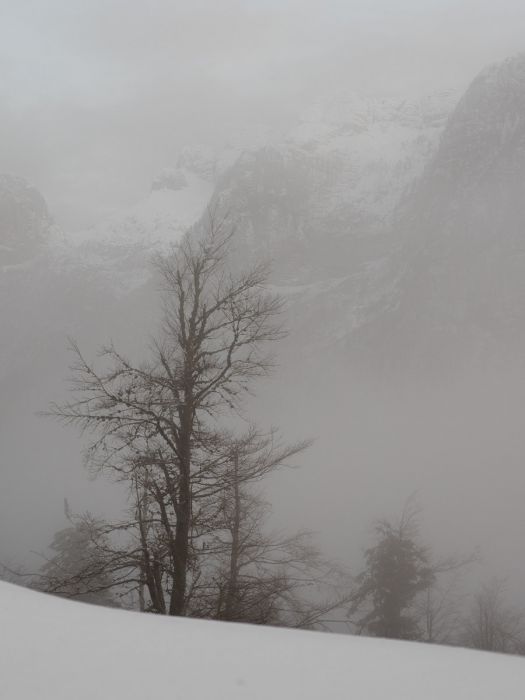 12082014  C081340 rid