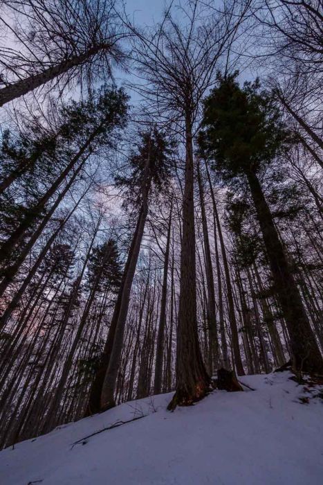 12262017  C260825 rid