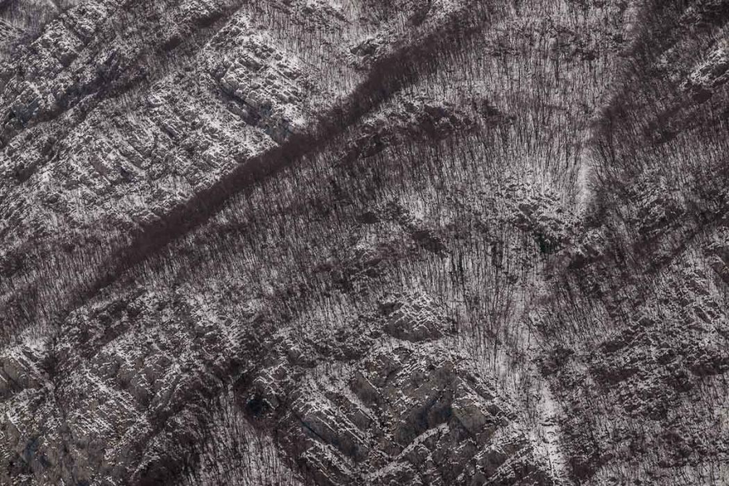 01192013 P1198195 rid