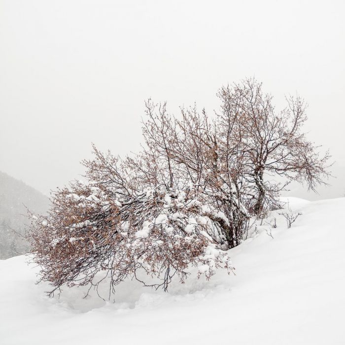 02092014 P2098891 rid  1 1 